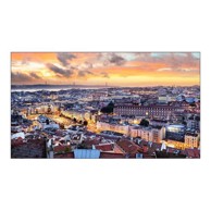 SAMSUNG Digitalni zaslon VH55C-E Videowall, 55"